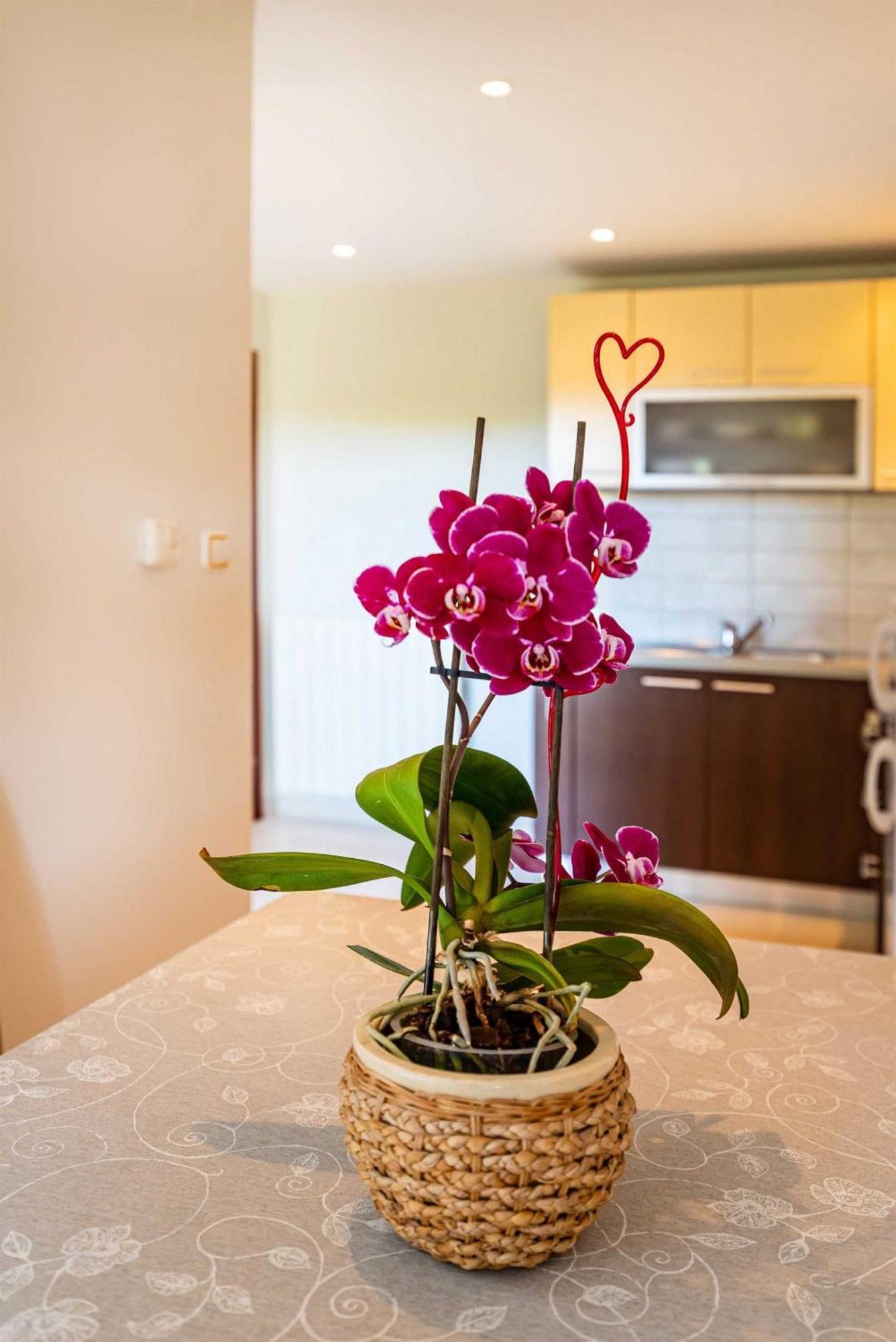 Apartment House Simoni With Pool, Zadar County بريفلاكا المظهر الخارجي الصورة