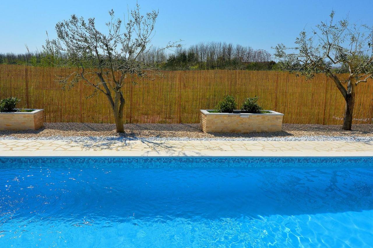 Apartment House Simoni With Pool, Zadar County بريفلاكا المظهر الخارجي الصورة